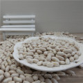 Japón Tipo White Kidney Bean